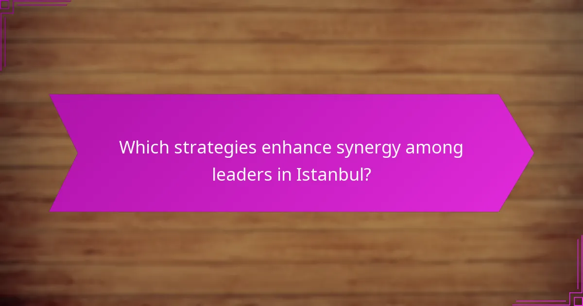 Which strategies enhance synergy among leaders in Istanbul?